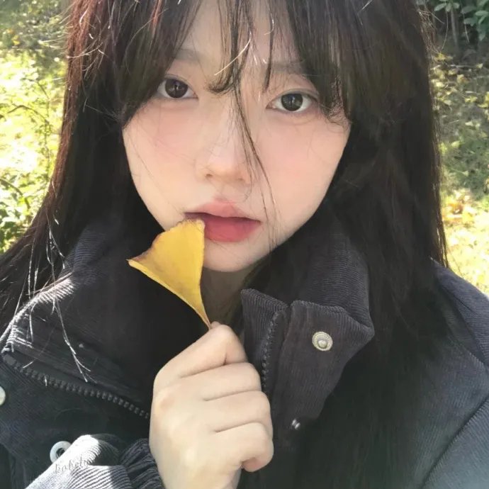 自由鸟